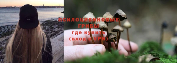 меф Корсаков