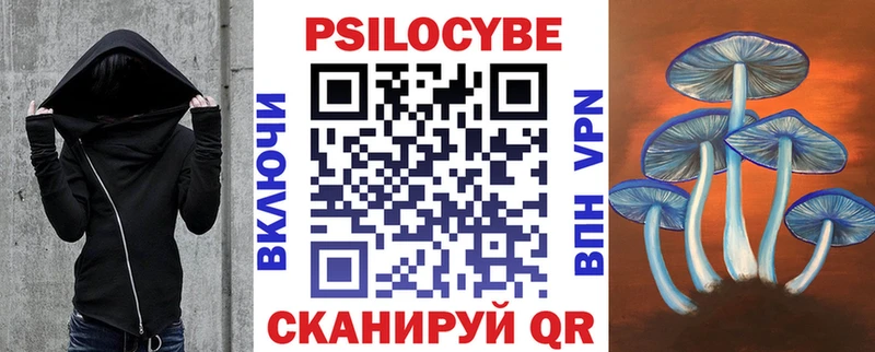 Купить закладки  Звенигово  Галлюциногенные грибы Psilocybine cubensis 